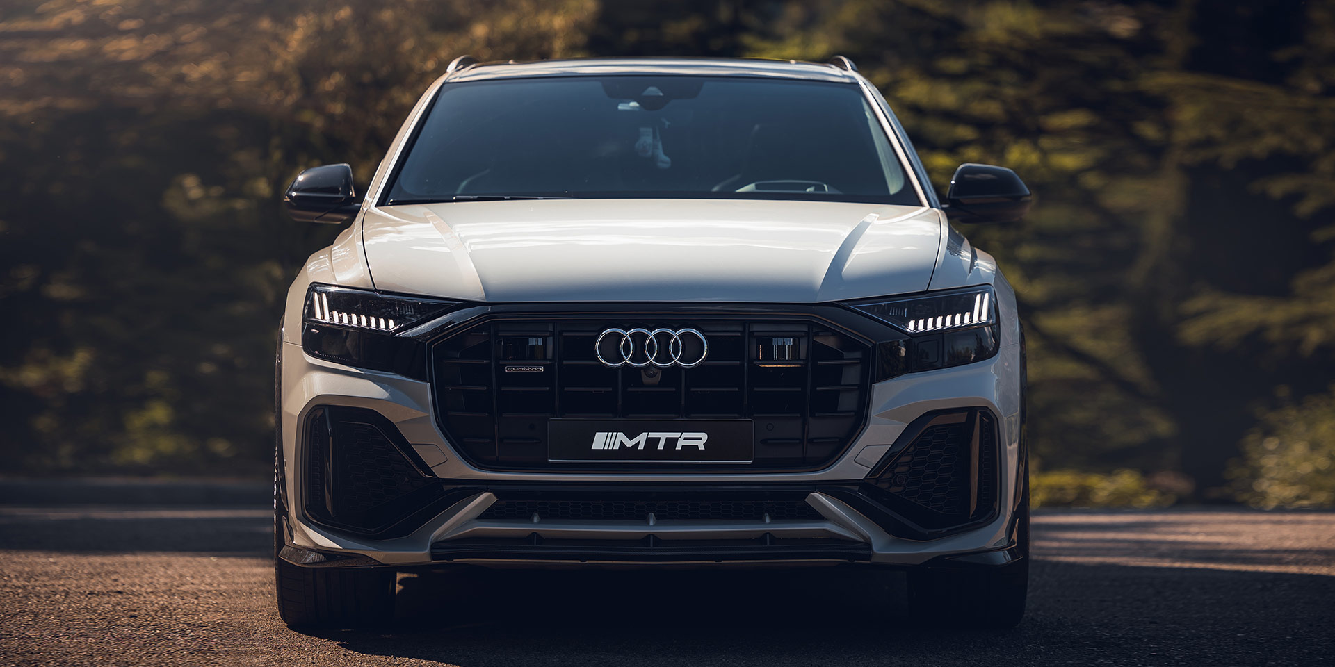 Audi Q8 (4M80)
